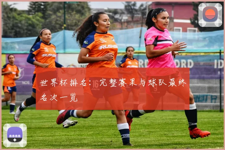 世界杯排名：完整赛果与球队最终名次一览
