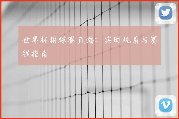 世界杯排球赛直播：实时观看与赛程指南