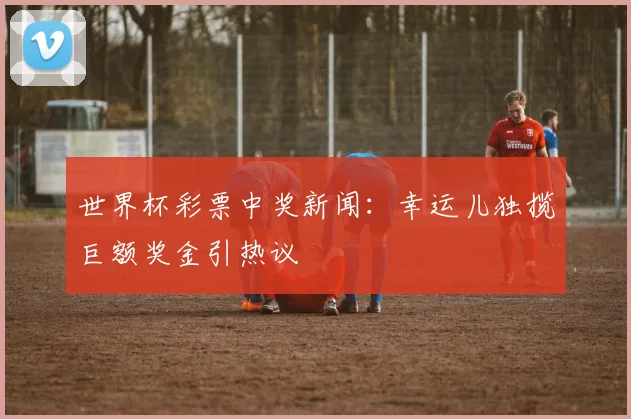 世界杯彩票中奖新闻：幸运儿独揽巨额奖金引热议