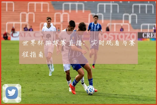 世界杯排球赛直播：实时观看与赛程指南
