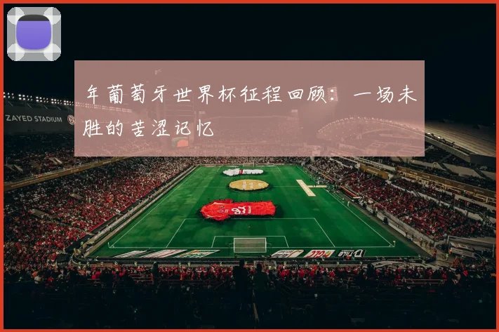 年葡萄牙世界杯征程回顾：一场未胜的苦涩记忆